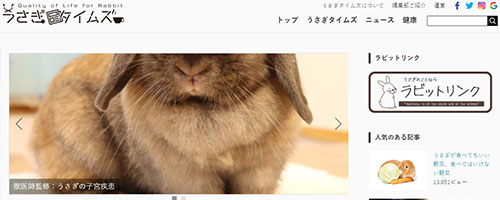 うさぎタイムズ