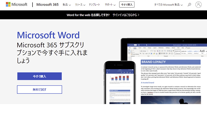 Microsoft Word