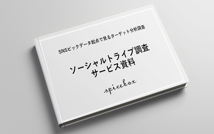ソーシャルトライブ調査 サービス資料