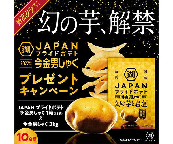 広告バナーデザインの参考：湖池屋