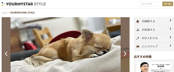 webの広告媒体：YOURMYSTAR STYLE