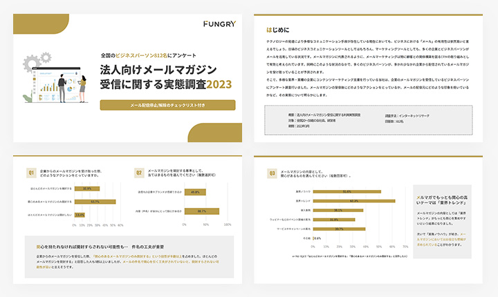 ホワイトペーパーのサンプル:【法人向け】メールマガジン受信に関する実態調査