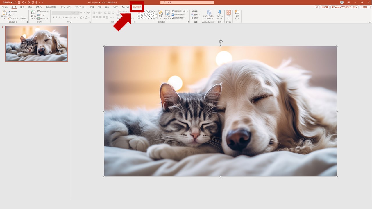 STEP1：図を選択してナビゲーションバーの[図の形式]タブをクリック