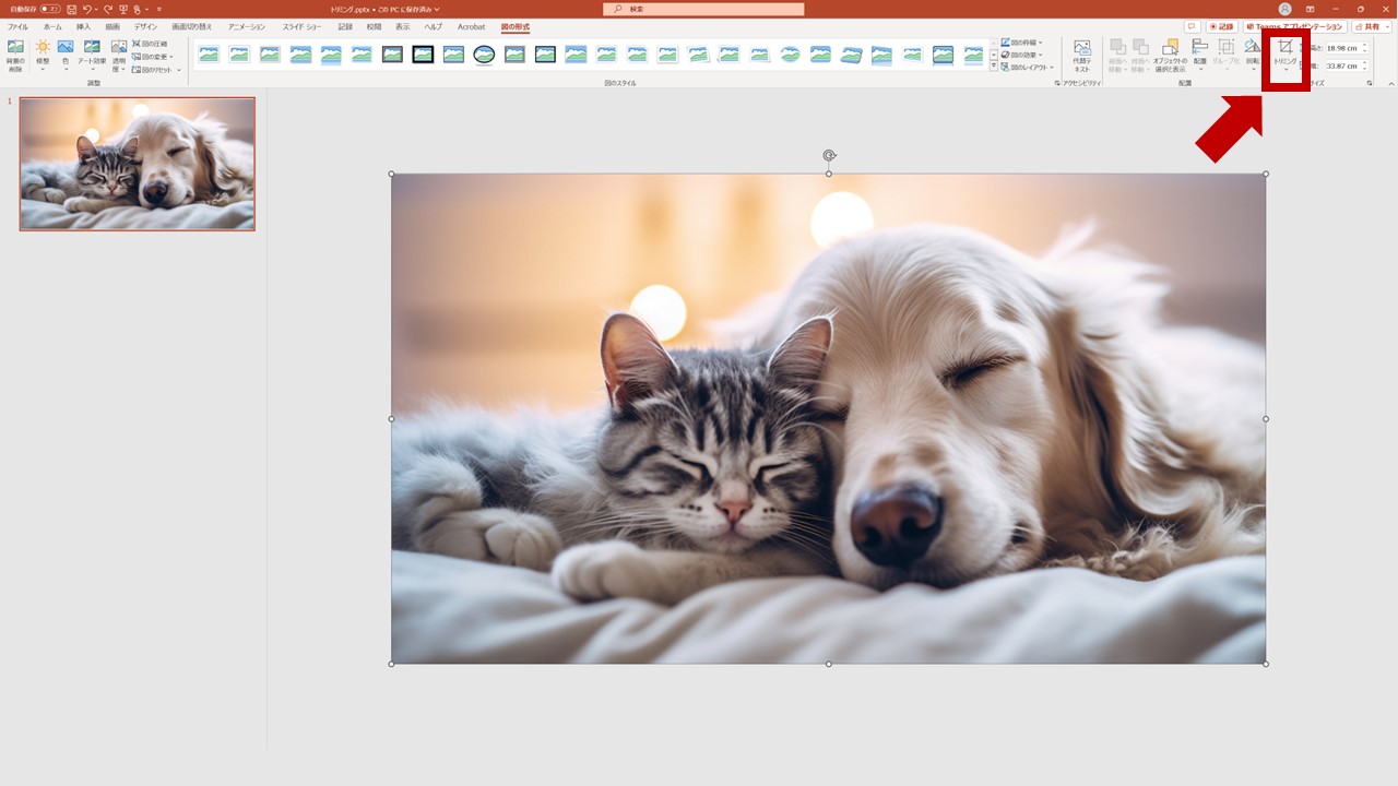 STEP2：ナビゲーション内に表示された[トリミング▼]をクリック