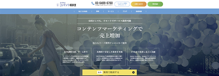 ナイル株式会社