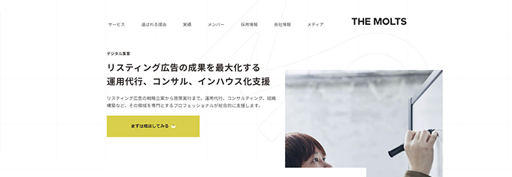 株式会社THE MOLTS