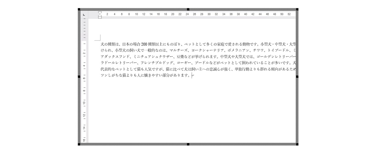テキストを入力