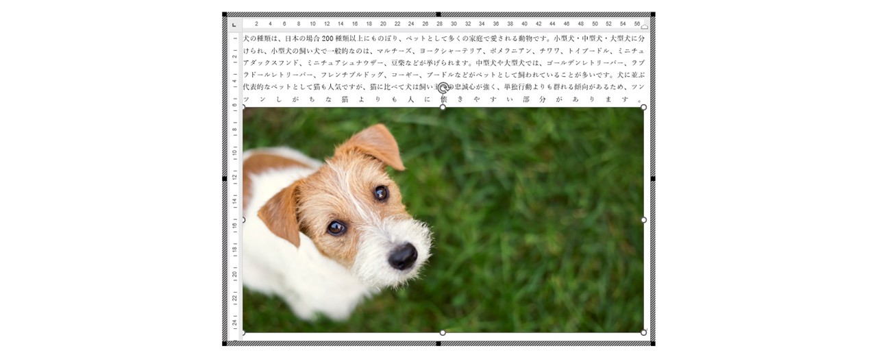 画像や図形を選択して挿入