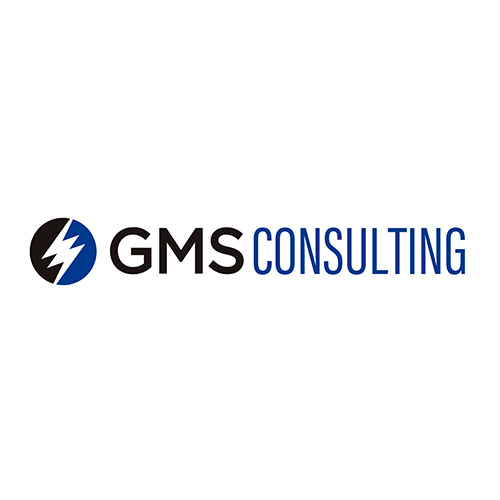 株式会社GMSコンサルティング