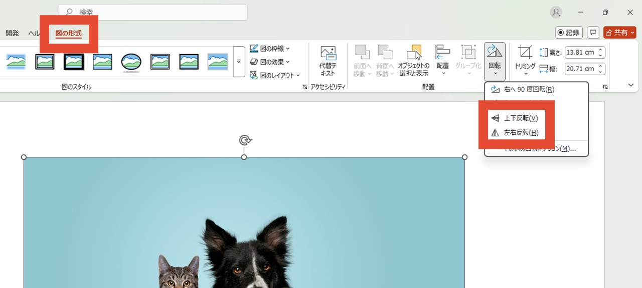 画像オブジェクトの場合