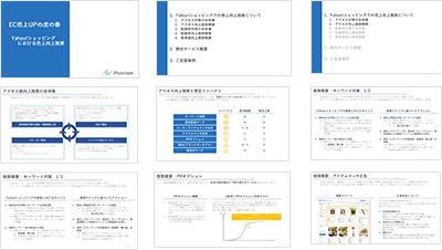 株式会社Proteinumの資料目次イメージ