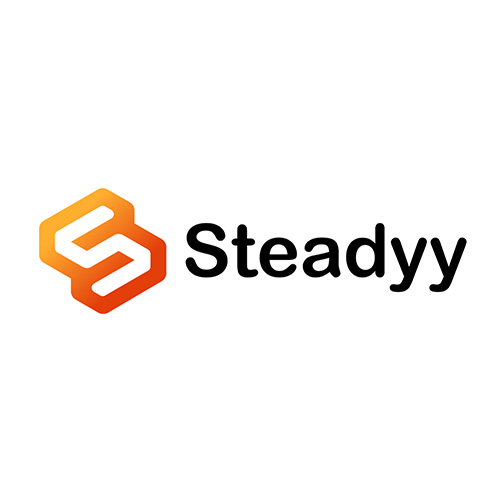 株式会社Steadyy