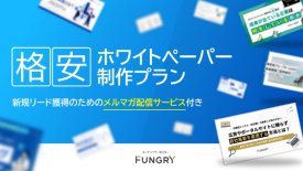 格安ホワイトペーパー 制作プラン
